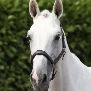 Fusco Head Collar With Lead Rope Anthracite