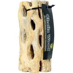 Galapagos Cholla Wood, 12"