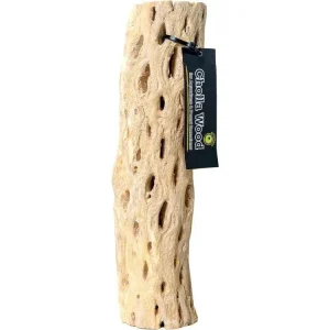 Galapagos Cholla Wood, 24"