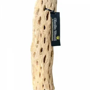 Galapagos Cholla Wood Branch Appx. 12in