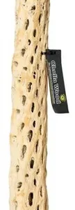 Galapagos Cholla Wood Branch Appx. 36in