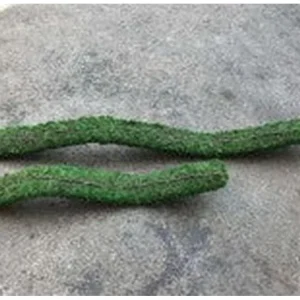 Galapagos Flexible Bridge, 24" (Fresh Green)