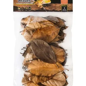 Galapagos Magnolia Leaves 4qt