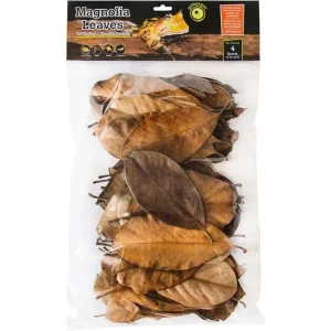 Galapagos Magnolia Leaves 4qt