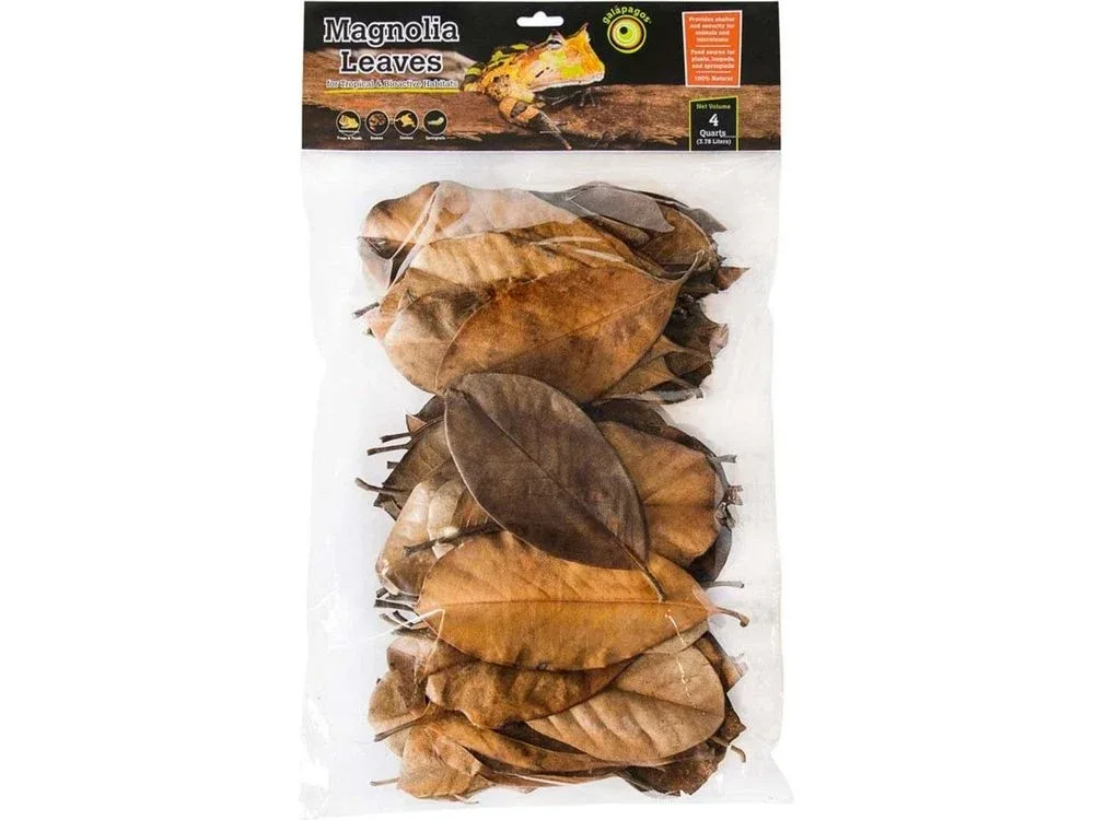 Galapagos Magnolia Leaves 4qt