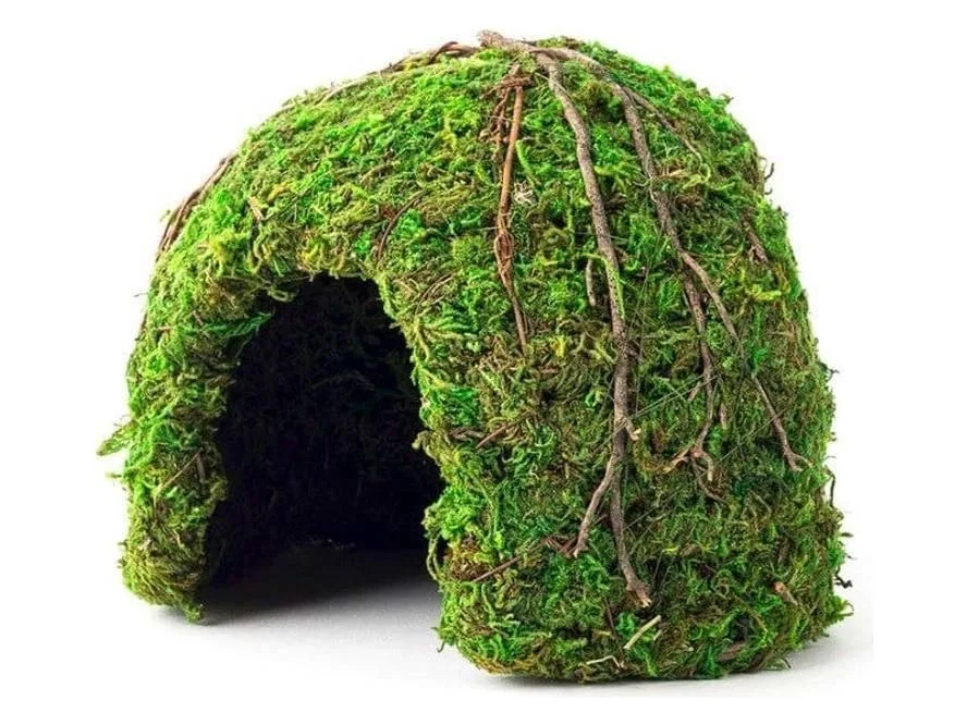 Galapagos Mossy Dome Terrarium Hideaway Fresh Green, 1ea/6 in - Image 2