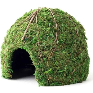 Galapagos Mossy Dome Terrarium Hideaway Fresh Green, 1ea/9 in