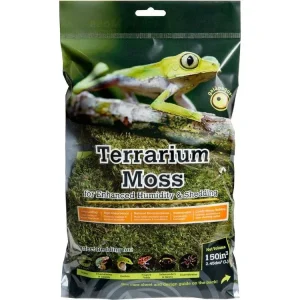 Galapagos Pillow Moss, 150 in³