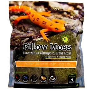 Galapagos Pillow Moss 4qt