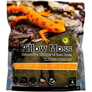 Galapagos Pillow Moss, 4qt