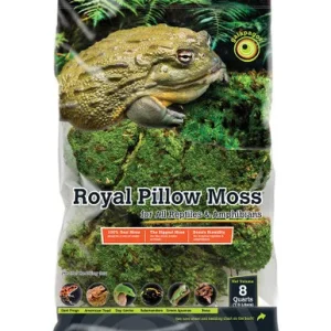 Galapagos Royal Pillow Moss 8qt