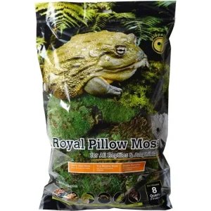 Galapagos Royal Pillow Moss, 8qt