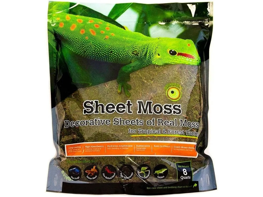 Galapagos Sheet Moss, 8qt