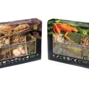Galapagos Terrarium Starter Kit Arid Environment Box 4.5qt