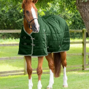 Garissa Stable Rug 100g Green