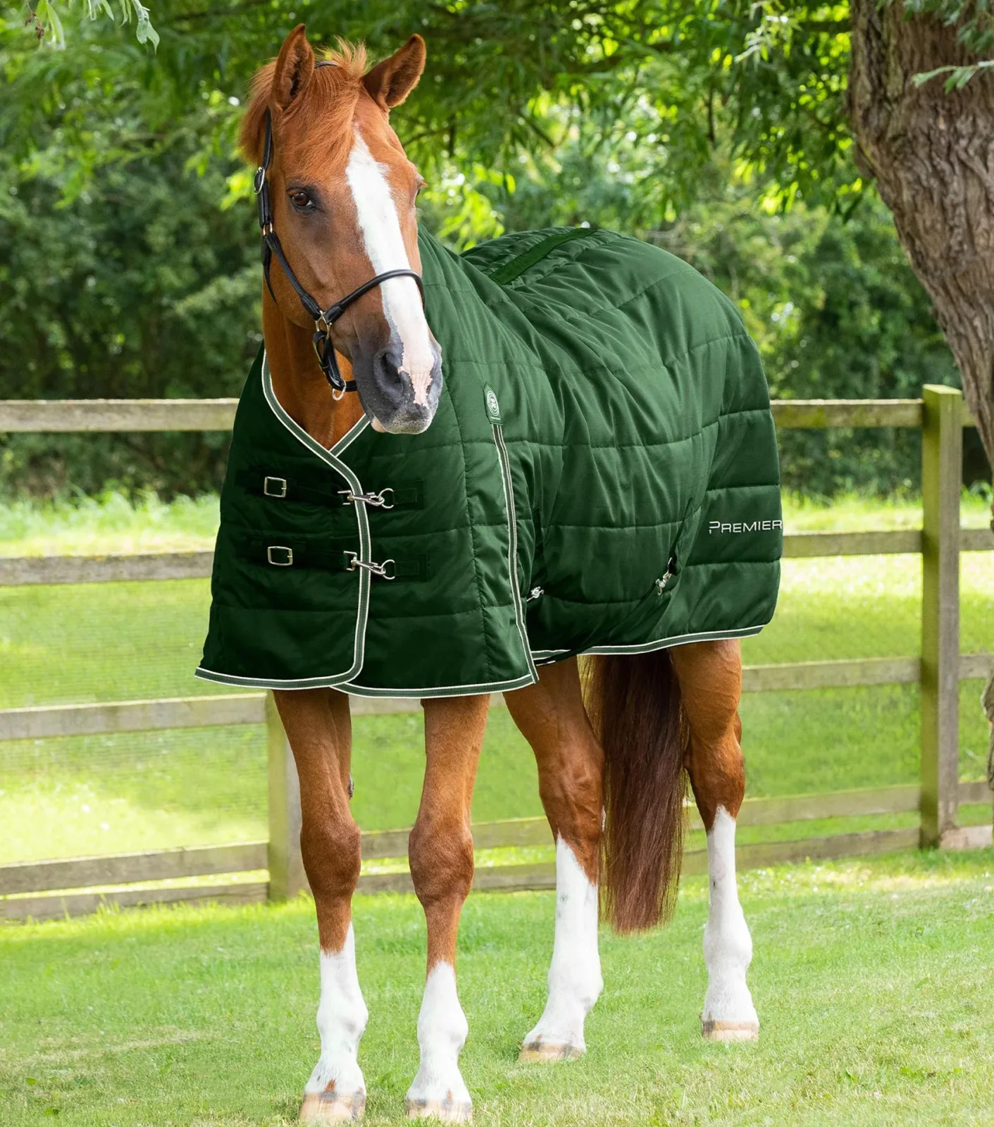 Garissa Stable Rug 100g Green