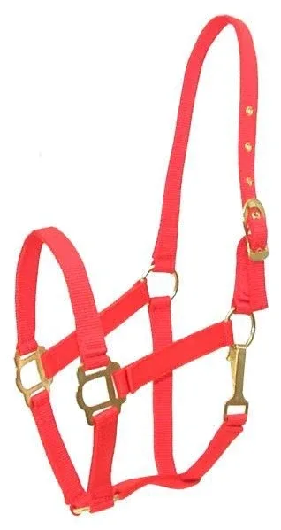 Gatsby Classic Nylon Halter/Snap - Image 2