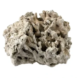 Genuine Fiji Pukani Dry Live Rock (20 lb Box) - Marco Rocks