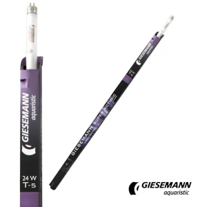 Giesemann 24" Super Actinic T5 Bulb, 24W