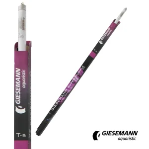 Giesemann 24" Super Purple T5 Bulb, 24W