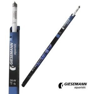 Giesemann 36" Actinic Blue T5 Bulb, 39W