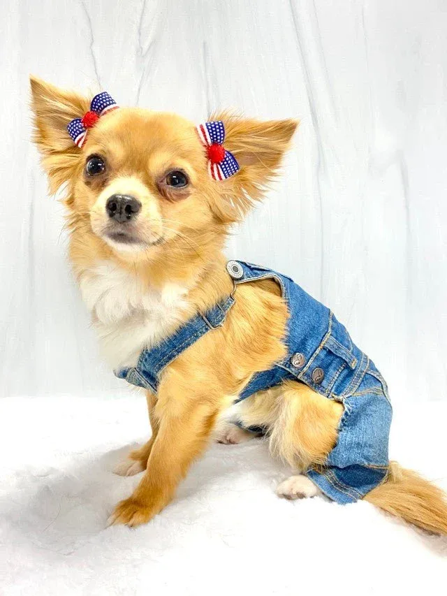 Glory Dogs Hair Bow - Image 2