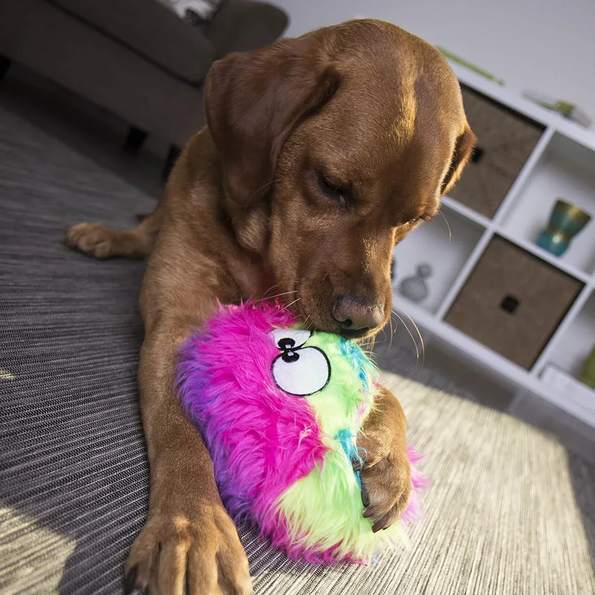 GoDog's Rainbow Furballz with Chewguard - Image 2