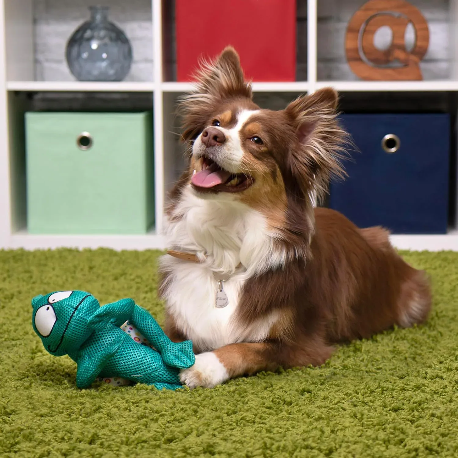 GoDog's Tolly the Teal Chameleon - Image 2