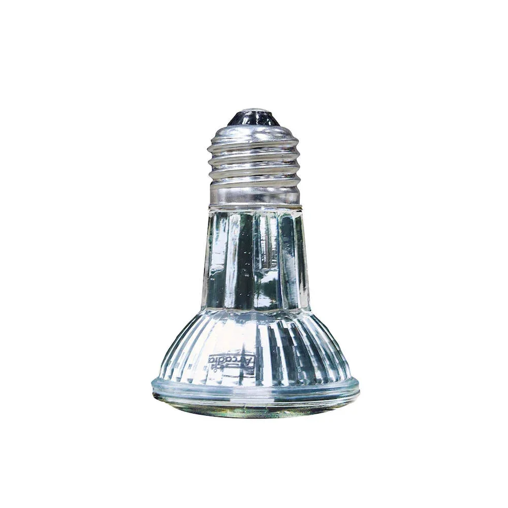 GoldenSun Basking Halogen Heater, 50 watt - Image 2