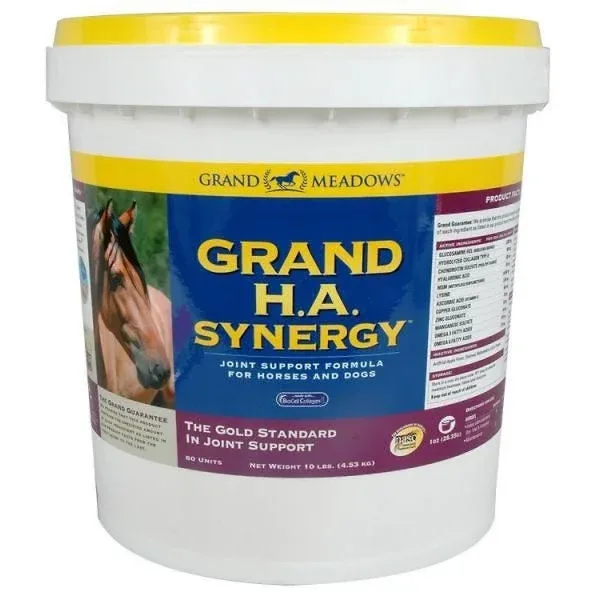 Grand Meadows Grand HA Synergy - Image 2
