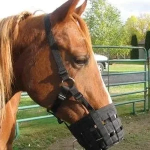 Grazing Muzzle Halter Pony Blk