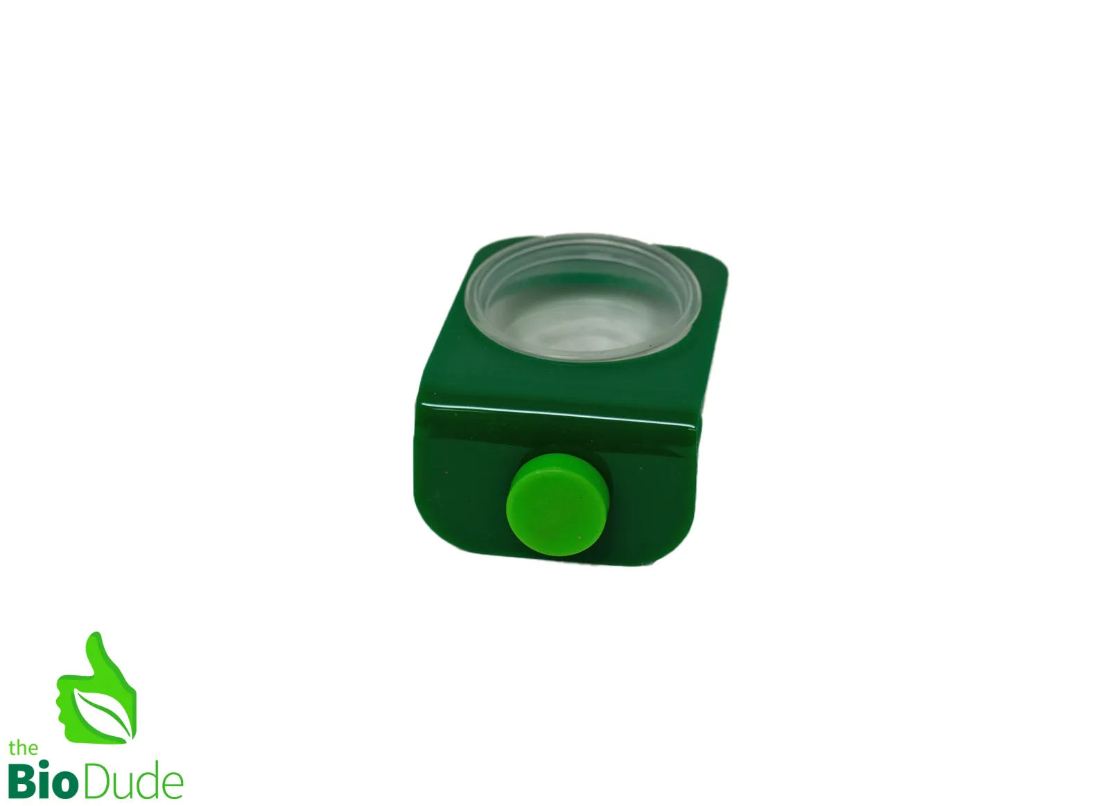 Green Magnetic Lizard Ledge with Feeding Cup - Image 2
