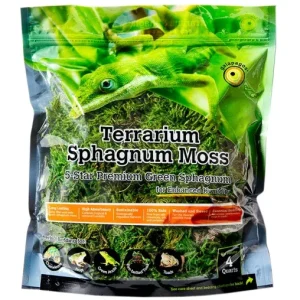 Green Sphagnum Moss, 4qt Resealable Bag