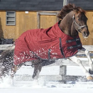 Grewal Equestrian™ 1200D 100 Gram Ripstop Turnout Blanket