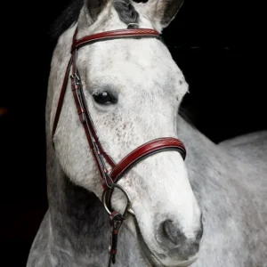 Grewal Equestrian™ St. Andrews Hunter Bridle