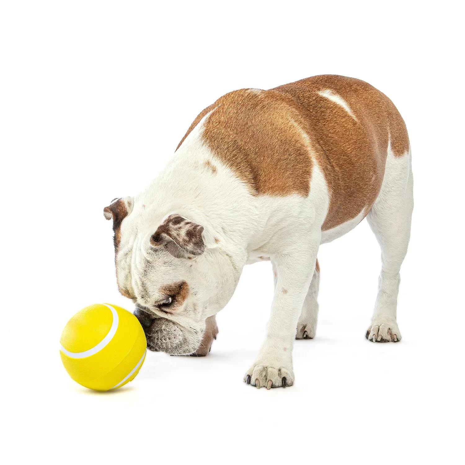 GURU Giggling Tennis Ball - Image 2