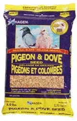 Hagen Pigeon & Dove Staple Vme 6# B2704