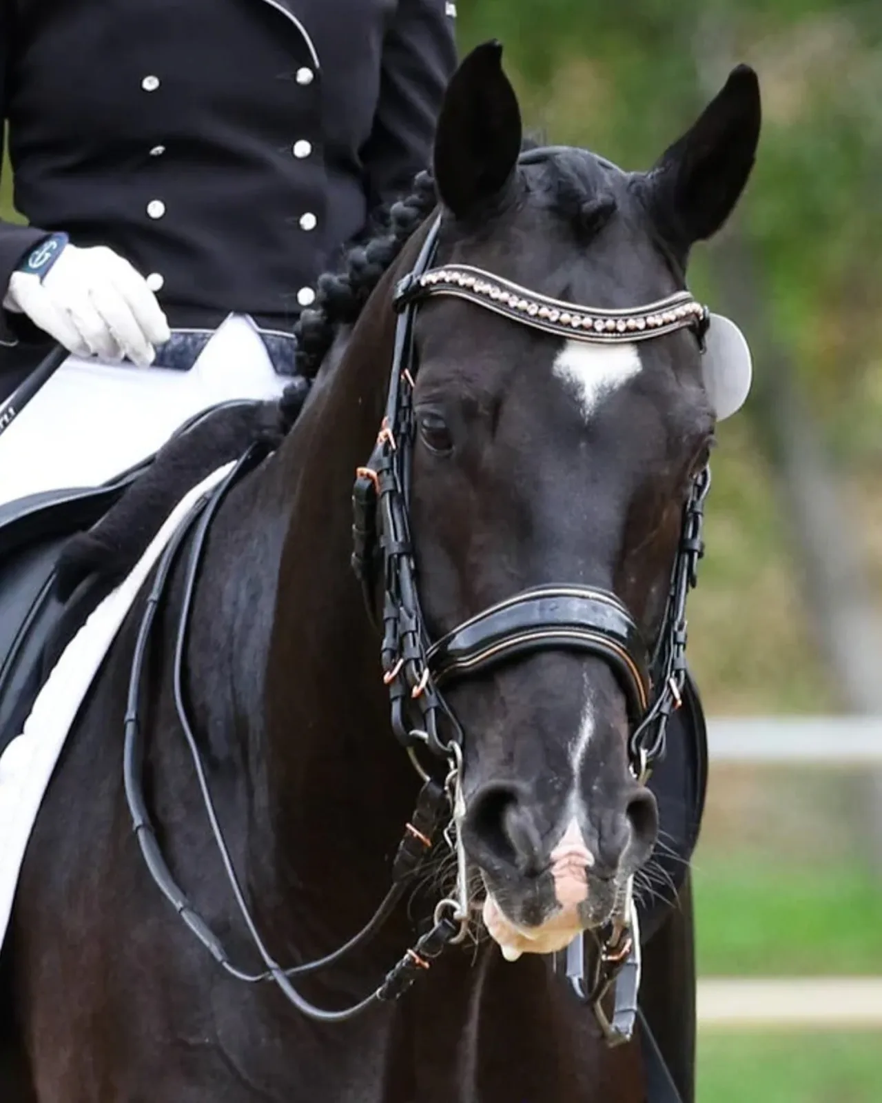 Halter Ego® Aurelia Rose Gold Black Patent Double Bridle - Image 2