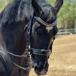 Halter Ego® Aurelia Rose Gold Black Patent Double Bridle