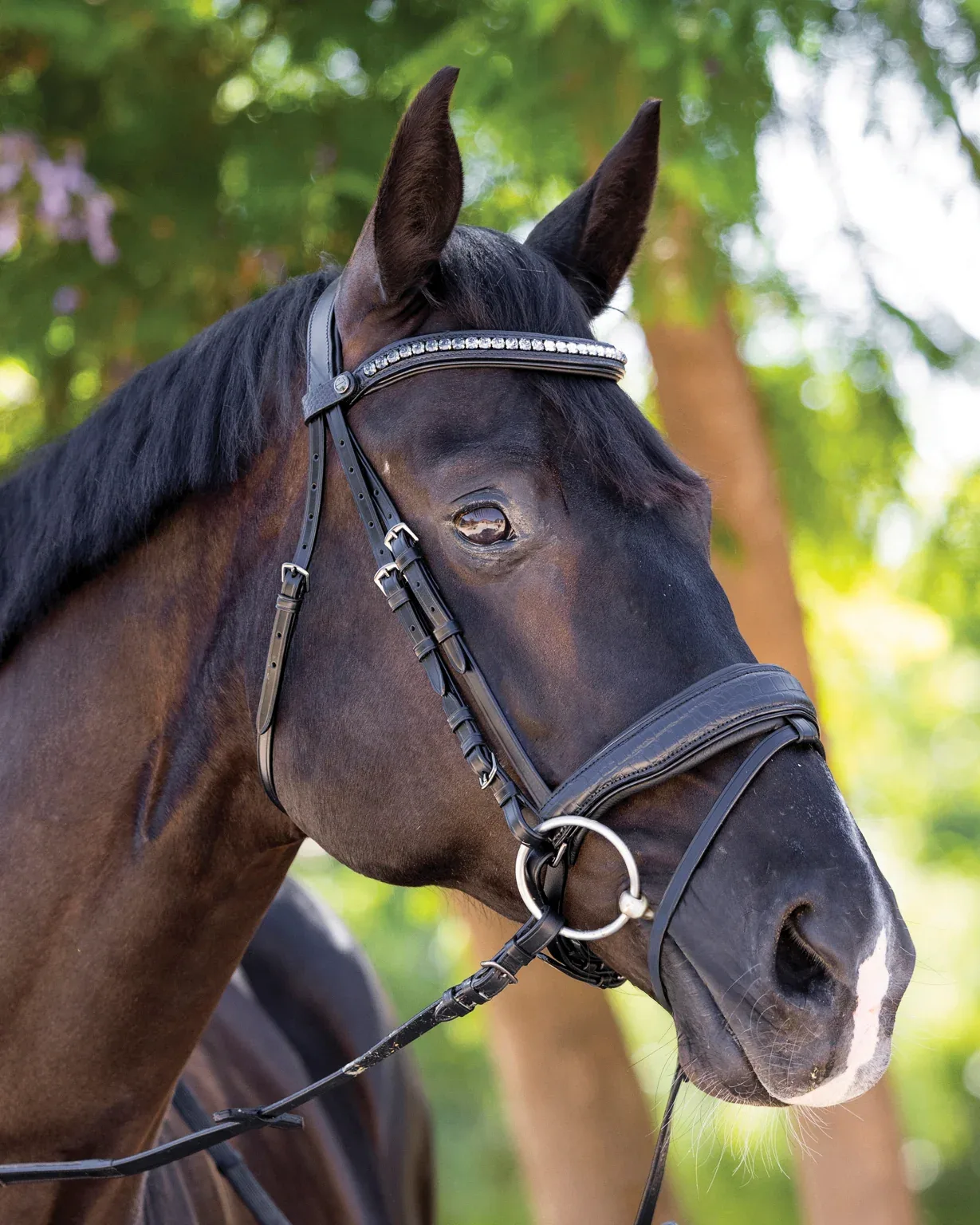 Halter Ego® Doc Marten Snaffle Bridle - Image 2