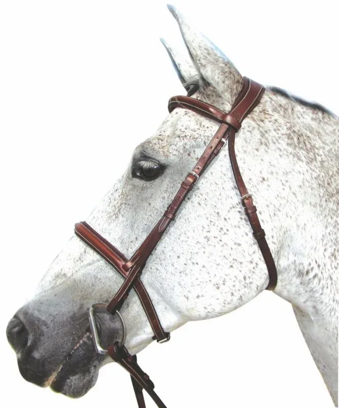 HDR Pro Stress Free Padded Bridle - Image 2