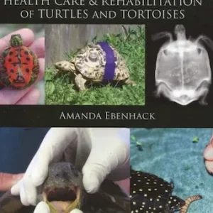 Health Care & Rehabilitation of Turtles and Tortoises