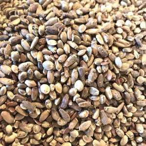Health Smart Bird Seed Mix