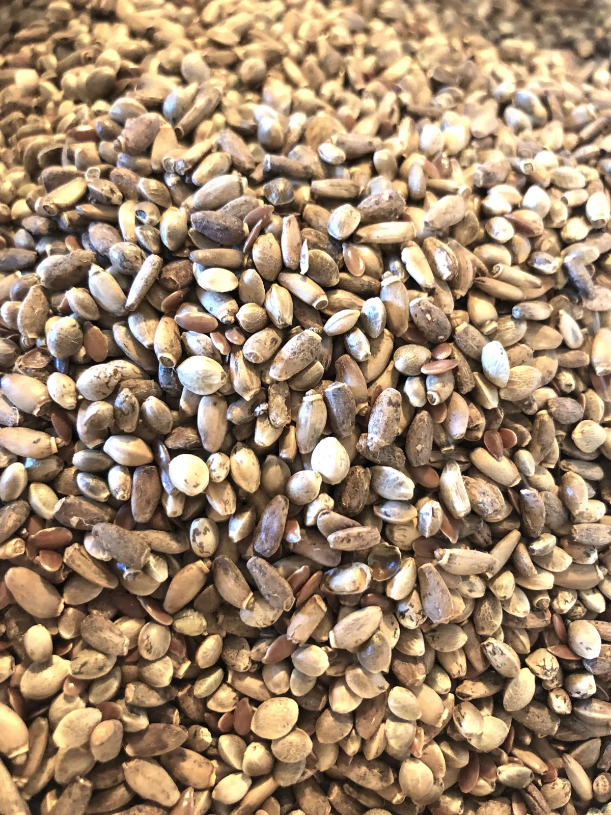 Health Smart Bird Seed Mix