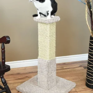 Heavy Duty Cat Scratching Post | Solid Wood Cat Post for Large Cats