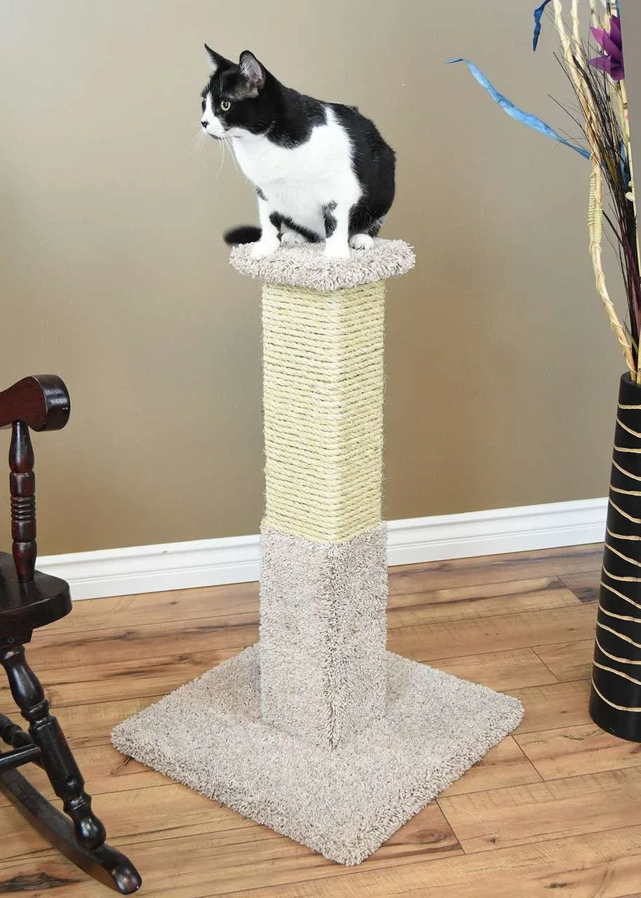 Heavy Duty Cat Scratching Post | Solid Wood Cat Post for Large Cats