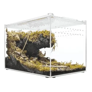 Herpcult Acrylic Enclosure Large Clear Top 12"x8"x8"