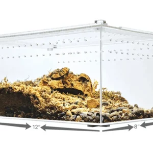 Herpcult Acrylic Enclosure Large-Flat Clear Top 12"x8"x6"