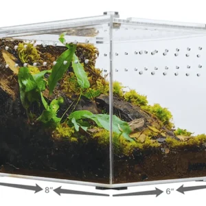 Herpcult Acrylic Enclosure Medium-Flat Clear Top 8"x6"x6" @