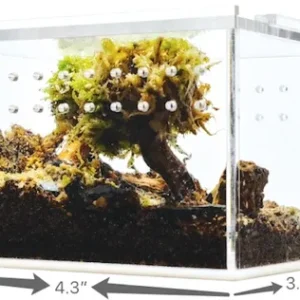 Herpcult Acrylic Enclosure Mini-Flat 4.3"x3.4"x2.8"